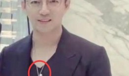 张颖颖绯闻爆料视频播放,真相与谣言的交织